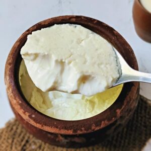 Desi Home made Dahi (GF)(16oz)